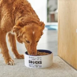 Frisco Food & Paw Non-skid Ceramic Dog Bowl -WoofyPlay Store 270195 PT2. AC SS1800 V1620762027