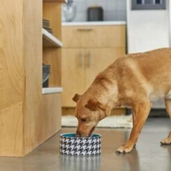 Frisco Houndstooth Non-skid Ceramic Dog Bowl -WoofyPlay Store 270200 PT2. AC SS1800 V1620762251