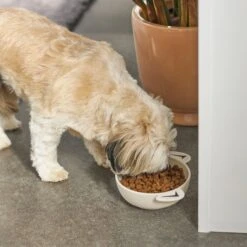 Frisco Dog Face Non-skid Ceramic Cat & Dog Bowl -WoofyPlay Store 270226 PT2. AC SS1800 V1620762156