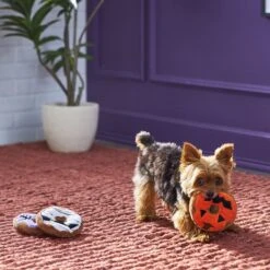 Frisco Halloween Donuts Plush Squeaky Dog Toy -WoofyPlay Store 270369 PT3. AC SS1800 V1624817409