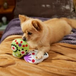 Frisco Halloween Day Of The Dead Sugar Skull Plush Squeaky Dog Toy, 2 Count -WoofyPlay Store 270443 PT3. AC SS1800 V1624824826