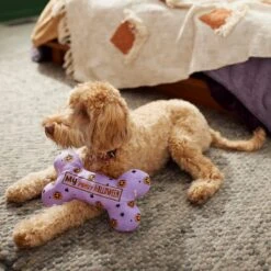Frisco Halloween My First Halloween Bone Reversible Plush Squeaky Dog Toy -WoofyPlay Store 270452 PT3. AC SS1800 V1624817314