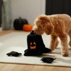 Frisco Halloween Haunted Tree Hide & Seek Puzzle Plush Squeaky Dog Toy -WoofyPlay Store 270488 PT3. AC SS1800 V1624817078