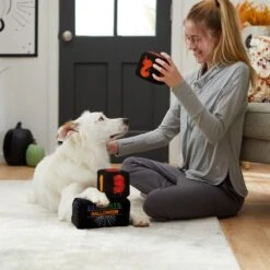 Frisco Halloween 30 Days Of Halloween Countdown Blocks Plush Squeaky Dog Toy -WoofyPlay Store 270494 PT3. AC SS1800 V1624817483