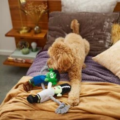 Frisco Halloween Frankenstein & Bride Plush With Rope Squeaky Dog Toy -WoofyPlay Store 270496 PT3. AC SS1800 V1624824775