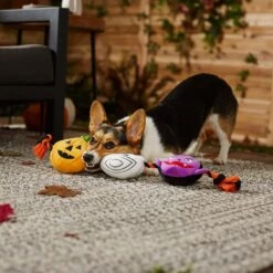 Frisco Halloween Haunted Friends Plush With Rope Squeaky Dog Toy 7 Frisco Halloween Haunted Friends Plush With Rope Squeaky Dog Toy -WoofyPlay Store 270500 PT3. AC SS1800 V1624825043