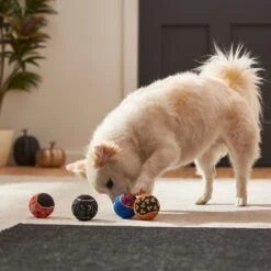 Frisco Halloween Glow In The Dark Fetch Squeaky Tennis Ball Dog Toy 9 Frisco Halloween Glow In The Dark Fetch Squeaky Tennis Ball Dog Toy -WoofyPlay Store 270525 PT3. AC SS1800 V1624824980