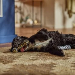 Frisco Halloween Candy Corn & Ghosts TPR Bone Squeaky Dog Toy, 2 Count -WoofyPlay Store 270529 PT3. AC SS1800 V1689876508