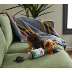 Frisco Camping Bug Spray Plush Squeaky Dog Toy, 3 Count -WoofyPlay Store 270989 PT3. AC SS1800 V1625009020