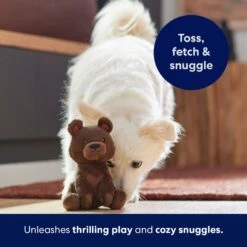 Frisco Camping Bear Plush Squeaky Dog Toy 10 Frisco Camping Bear Plush Squeaky Dog Toy -WoofyPlay Store 270999 PT5. AC SS1800 V1691785245
