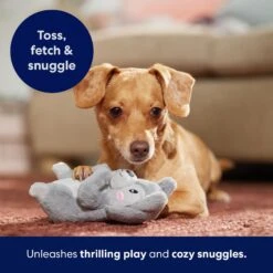 Frisco Camping Squirrel Plush Squeaky Dog Toy 10 Frisco Camping Squirrel Plush Squeaky Dog Toy -WoofyPlay Store 271001 PT5. AC SS1800 V1691785245