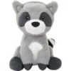 Frisco Camping Raccoon Plush Squeaky Dog Toy