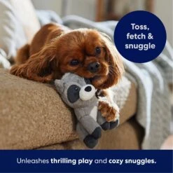 Frisco Camping Raccoon Plush Squeaky Dog Toy 10 Frisco Camping Raccoon Plush Squeaky Dog Toy -WoofyPlay Store 271003 PT4. AC SS1800 V1695670777