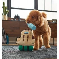 Frisco Camping Backpack Plush Squeaky Dog Toy -WoofyPlay Store 271005 PT3. AC SS1800 V1625009263