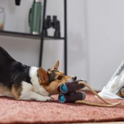 Frisco Camping Binoculars Plush With Rope Squeaky Dog Toy 5 Frisco Camping Binoculars Plush With Rope Squeaky Dog Toy -WoofyPlay Store 271009 PT3. AC SS1800 V1625009167