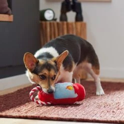 Frisco Camping Lantern Plush With Rope Squeaky Dog Toy 5 Frisco Camping Lantern Plush With Rope Squeaky Dog Toy -WoofyPlay Store 271013 PT3. AC SS1800 V1625160766