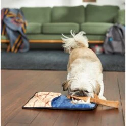 Frisco Camping Smores & Sleeping Bag Flat Plush Squeaky Dog Toy, 2 Count -WoofyPlay Store 271018 PT3. AC SS1800 V1625009010