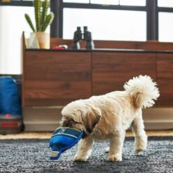 Frisco Camping Canteen Plush With Rope Squeaky Dog Toy 5 Frisco Camping Canteen Plush With Rope Squeaky Dog Toy -WoofyPlay Store 271022 PT3. AC SS1800 V1625009237