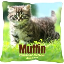 Frisco Personalized Basic Throw Pillow, 16" X 16" -WoofyPlay Store 271237 PT2. AC SS1800 V1620405726