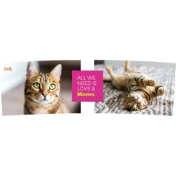 Frisco "Classic" Double Walled Personalized Tumbler. 30-oz -WoofyPlay Store 272541 PT2. AC SS1800 V1625686095