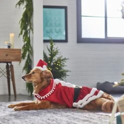 Frisco Mrs. Claus Dog & Cat Costume 11 Frisco Mrs. Claus Dog & Cat Costume -WoofyPlay Store 276150 PT8. AC SS1800 V1631573890