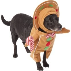 Frisco Front Walking Gingerbread Dog & Cat Costume -WoofyPlay Store 276156 PT3. AC SS1800 V1631660334
