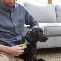 Frisco Soft Slicker Dog Brush, One Size & Frisco Deshedding Dog & Cat Brush -WoofyPlay Store 276229 PT6. AC SS1800 V1616191886