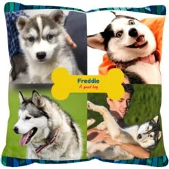 Frisco "Contemporary #2" Throw Pillow 16 X 16 -WoofyPlay Store 276901 PT2. AC SS1800 V1625686286