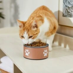 Frisco Paw Print Non-Skid Stainless Steel Dog & Cat Bowl -WoofyPlay Store 277546 PT3. AC SS1800 V1630347716