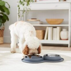 Frisco Silicone Stainless Steel Double Diner Slow Feeder Dog & Cat Bowl, Grey, 3 Cup 7 Frisco Silicone Stainless Steel Double Diner Slow Feeder Dog & Cat Bowl, Grey, 3 Cup -WoofyPlay Store 277549 PT2. AC SS1800 V1630346823