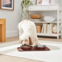 Frisco Silicone Stainless Steel Double Diner Dog & Cat Bowl, Brown -WoofyPlay Store 277551 PT2. AC SS1800 V1630346531