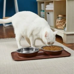 Frisco Silicone Stainless Steel Double Diner Dog & Cat Bowl, Brown -WoofyPlay Store 277551 PT3. AC SS1800 V1630348104