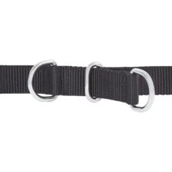 Frisco Basic No Pull Harness -WoofyPlay Store 277873 PT2. AC SS1800 V1629760100