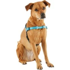 Frisco Padded Reflective No Pull Harness -WoofyPlay Store 277892 PT3. AC SS1800 V1629758833