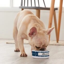 Frisco Personalized Mudcloth Small Dog & Cat Bowl -WoofyPlay Store 278936 PT3. AC SS1800 V1629147692