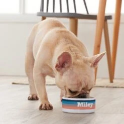 Frisco Personalized Watercolor Small Dog & Cat Bowl 7 Frisco Personalized Watercolor Small Dog & Cat Bowl -WoofyPlay Store 278944 PT3. AC SS1800 V1629147733