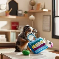 Frisco Back To School Lunchbox With Juice & Apple Plush With Rope Squeaky Dog Toy -WoofyPlay Store 279427 PT3. AC SS1800 V1628191372