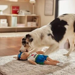 Frisco Gym Teacher Plush Squeaky Dog Toy 5 Frisco Gym Teacher Plush Squeaky Dog Toy -WoofyPlay Store 279447 PT3. AC SS1800 V1628191161