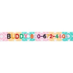 Frisco Pastel Tie Dye Polyester Personalized Dog Collar -WoofyPlay Store 280770 PT2. AC SS1800 V1621540643