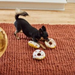 Frisco Fall Maple Bacon Donuts Plush Squeaky Dog Toy, 3 Count 7 Frisco Fall Maple Bacon Donuts Plush Squeaky Dog Toy, 3 Count -WoofyPlay Store 285613 PT3. AC SS1800 V1629725241