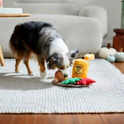 Frisco Fall Festive Candle Charger Plush Squeaky Dog Toy, 4 Count -WoofyPlay Store 285615 PT3. AC SS1800 V1629725135