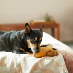 Frisco Fall Boot Plush Squeaky Dog Toy -WoofyPlay Store 285619 PT3. AC SS1800 V1629724969