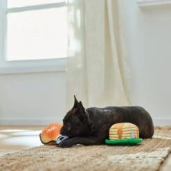 Frisco Fall Pancakes & Maple Syrup Plush Squeaky Dog Toy, 2 Count -WoofyPlay Store 285627 PT3. AC SS1800 V1629725170