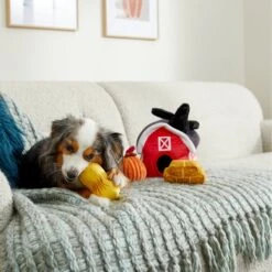 Frisco Fall Farmhouse Hide & Seek Puzzle Plush Squeaky Dog Toy -WoofyPlay Store 285629 PT3. AC SS1800 V1629725107