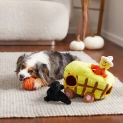 Frisco Fall Hay Wagon Hide & Seek Puzzle Plush Squeaky Dog Toy -WoofyPlay Store 285631 PT3. AC SS1800 V1629724940