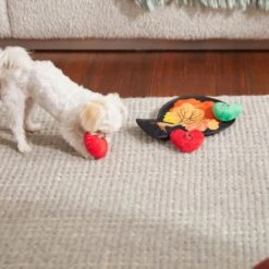 Frisco Fall Autumn Tree With Apples Interactive Plush Squeaky Dog Toy, 4 Count -WoofyPlay Store 285633 PT3. AC SS1800 V1629725360