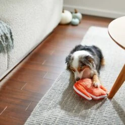 Frisco Fall Sweater Weather Flat Plush Squeaky Dog Toy -WoofyPlay Store 285635 PT3. AC SS1800 V1629725212