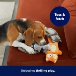 Frisco Forest Friends Stuffing-Free Skinny Plush Squeaky Dog Toy 10 Frisco Forest Friends Stuffing-Free Skinny Plush Squeaky Dog Toy -WoofyPlay Store 286571 PT4. AC SS1800 V1695760935