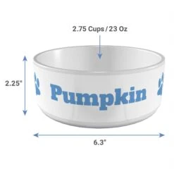 Frisco Paw Print Ceramic Personalized Dog Bowl -WoofyPlay Store 286982 PT3. AC SS1800 V1636036346