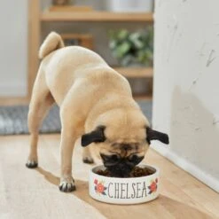 Frisco Flower Ceramic Personalized Dog Bowl 9 Frisco Flower Ceramic Personalized Dog Bowl -WoofyPlay Store 286985 PT2. AC SS1800 V1625764713
